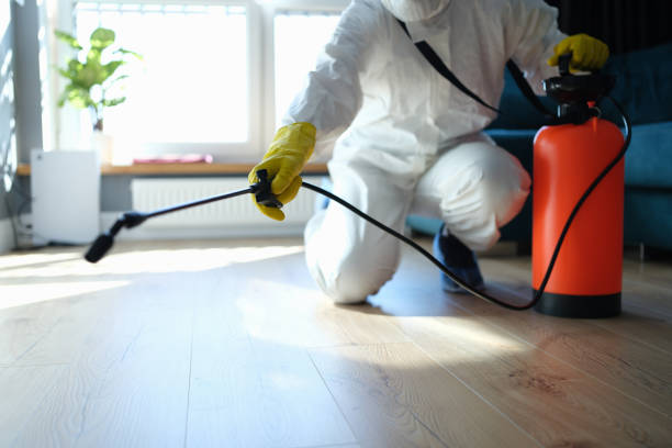 Trusted Odor Removal service in Union, WA - Four Month Blood Cleanse